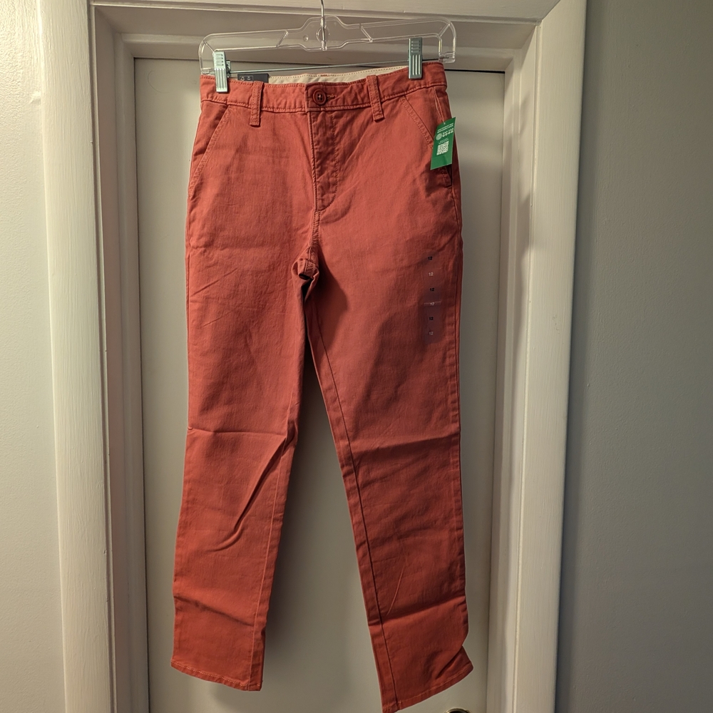 GAP Salmon Pants